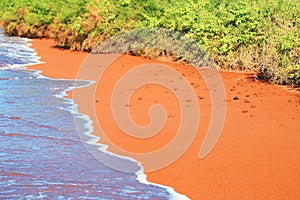 View of the red sand beach, Galapagos National Park, Ecuador