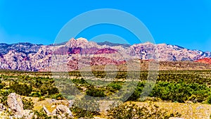 View of the Red Sandstone Mountains in Red Rock Canyon National Conservation Area