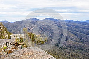 View from the Reed Lookout - Grampians