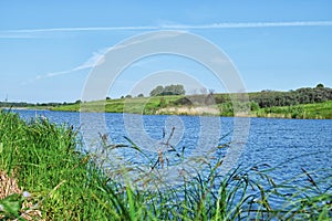 View through reeds near river and green meadow with clear sky at summer