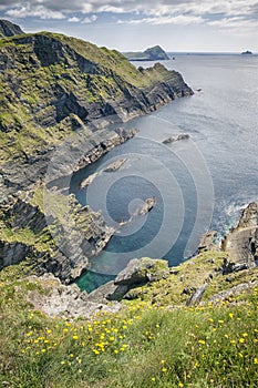 View from Reencaheragh to Skellig Island