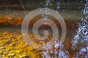 view through reflections in a lake at the walk through the Fohramoos European Protection Area near Dornbirn in Austria