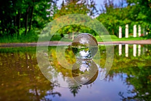 Summer Lensball Reflections In A Puddle