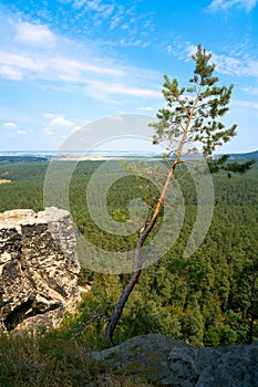 View from the Regenstein near Blankenburg