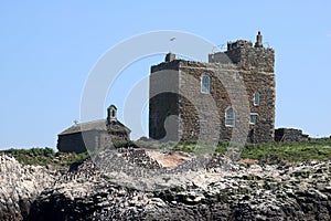 Prior Castels Tower, Guillemots, Farne Islands