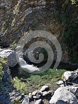 Reserva Florofaunistica reserve in Merlo photo