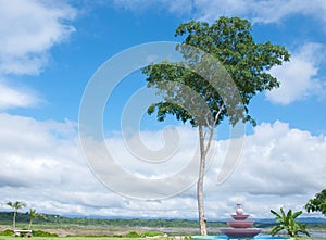 The view of the reservoir at norther of Thailand