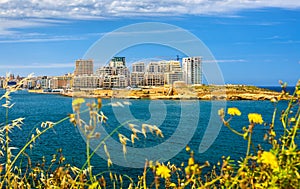 View of residential buildings in Sliema