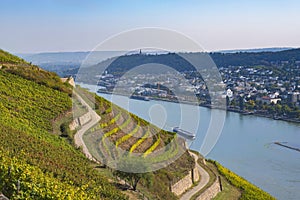View of the Rhine near RÃ¼desheim Germany
