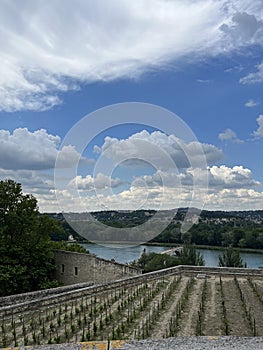 View of the Rhône and the Bénezet bridge