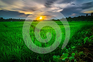 The view of the rice fields is cool, beautiful and the sunset is extraordinarily beautiful