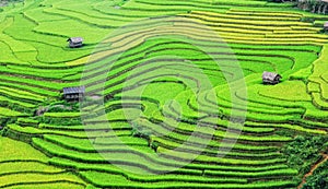 View of the rice fields at Lao Chai village in Laocai province, northern Vietnam