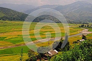 View of the rice fields at Tule valley in Moc Chau, northern Vietnam