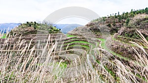 view of rice garden on terraced hill in Dazhai