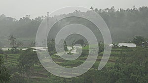 View on rice terraces of mountain and house of farmers during a rain. Bali, Indonesia