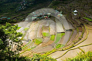 View of the rice terraces near Batad village during the rainy season
