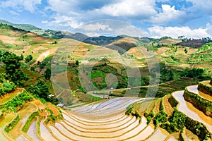 View of rice terraces viewed from a mountain peak.