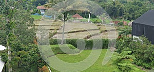 A view of ricefield at foot of mountain