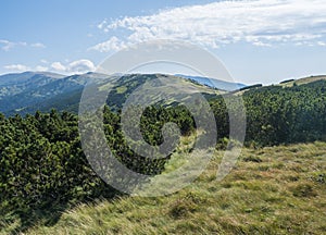 view from ridge of Low Tatras mountains, hiking trail with mountain meadow, scrub pine and grassy green hills and slopes