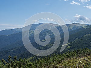 Pohled z hřebene pohoří nízké tatry, turistická stezka s horskou loukou, křovinatým borovicím a travnatými zelenými kopci a svahy