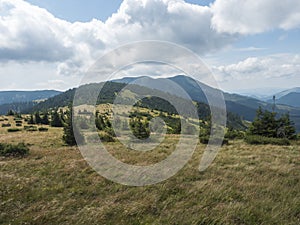 Pohled z hřebene pohoří nízké tatry, turistická stezka s horskou loukou, křovinatým borovicím a travnatými zelenými kopci a svahy