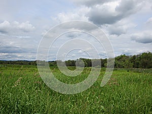 View of Ridgefield National Wildlife Sanctuary