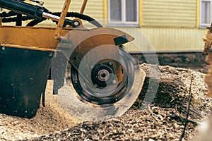 View from the right side to the stump grinder, which turns into a chip maple tree stump photo