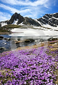 View of Rila mountain, Bulgaria