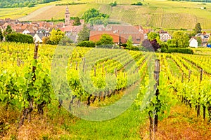 View of Riquewihr village in Alsace, France