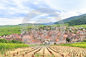 View of Riquewihr village in Alsace