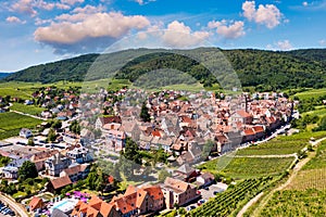 View of Riquewihr village and vineyards on Alsatian Wine Route, France. Most beautiful villages of France, Riquewihr in Alsace,