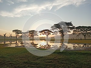 the view of the rising sun in the southern region of Tulungagung in a field that is so beautiful