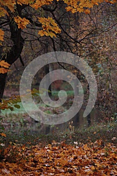 View at a river on an autumn day