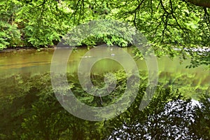 Escénico un rio de sur Oeste Escocia 