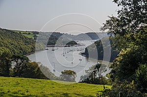 River dart from Greenways photo
