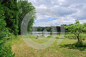 View of the River Eden in the Kent countryside
