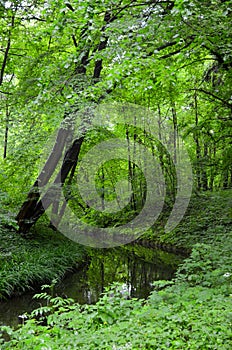 View of the river - Eisbach - of Munich in Bavaria.