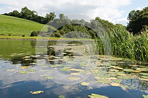 View on the River Erne