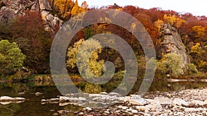 View of the river flowing from the mountain waterfall. Forest river in the mountains. Mountain forest river view