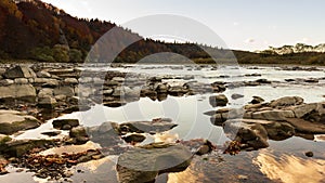 View of the river flowing from the mountain waterfall. Forest river in the mountains. Mountain forest river view