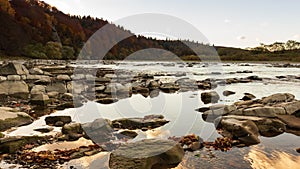 View of the river flowing from the mountain waterfall. Forest river in the mountains. Mountain forest river view