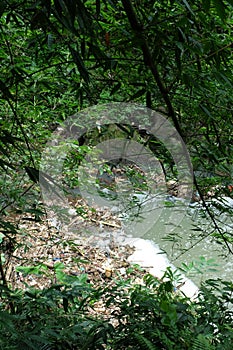 View of river full of trash and pollutant