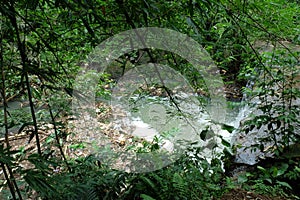 View of river full of trash and pollutant