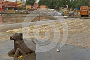 A view of River Godavari flowing with \'Nandi-The Bull\