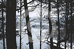 The view of river and its snowy shores through the silhouettes of forest trees