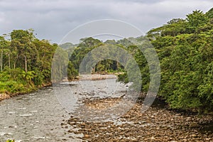 View of the river between the jungle