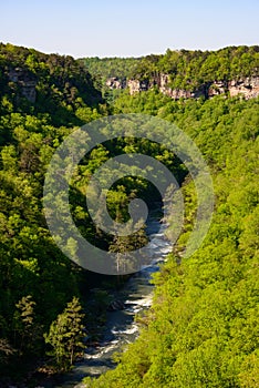 View of the River at Little River Canyon National Preserve