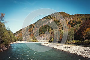 View of the river in the mountains in the middle of autumn trees. Autumn high in the mountains