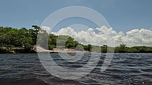 View of a river in northern Brazil with its banks surrounded by plants and crystal clear waters