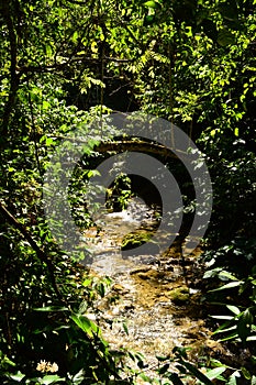 View of the river in rain forest.El Nicho Waterfalls, Cuba